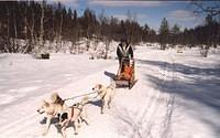 Finland Cross Country Skiing